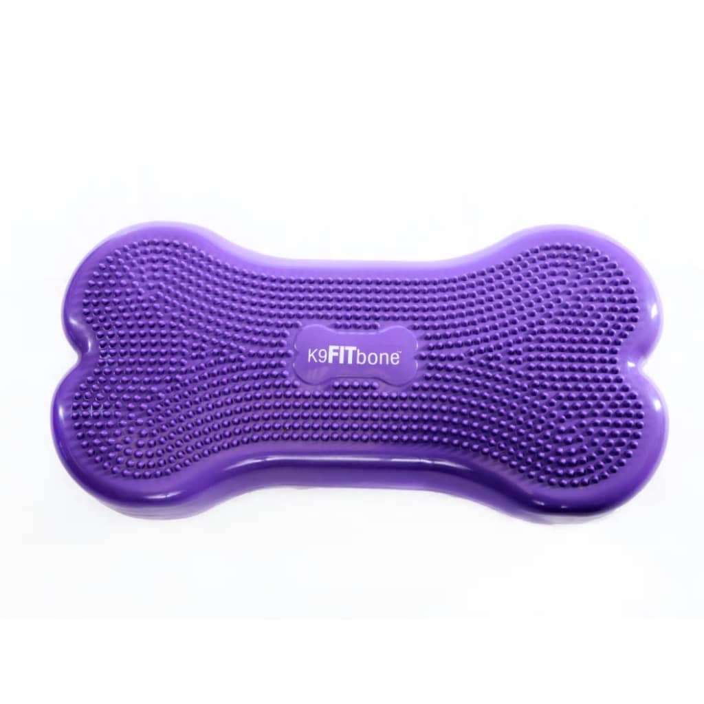 FitPAWS Plataforma equilíbrio p/ animais Giant K9FITbone PVC violeta